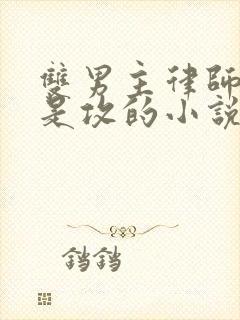 双男主律师姓顾是攻的小说