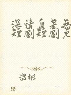 深情自是无情负短剧短剧免费观看