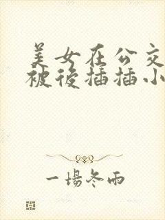 美女在公交车上被后插插小说