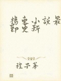 杨东小说最新章节更新