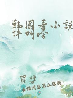 韩国看小说的软件叫啥