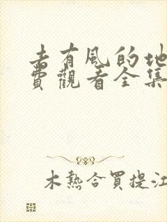 去有风的地方免费观看全集电视剧完整版