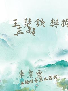 王楚钦 樊振东 乒超