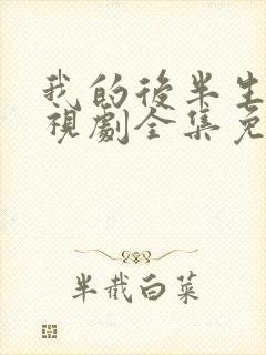 我的后半生2电视剧全集免费播放