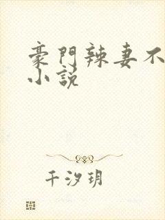 豪门辣妻不好惹小说