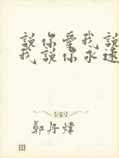 说你爱我说你要我说你永远不离开我