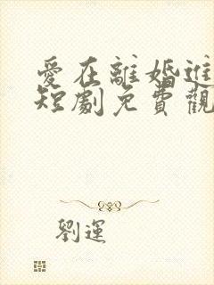 爱在离婚进行时短剧免费观看全集