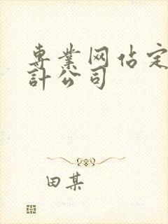 专业网站定制设计公司