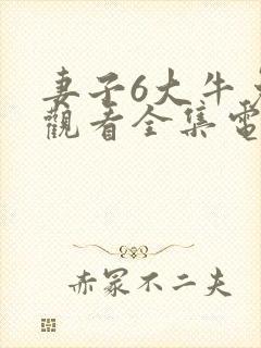 妻子6大牛免费观看全集电视剧