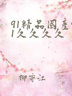 91精品国产91久久久久