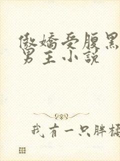 傲娇受腹黑攻双男主小说