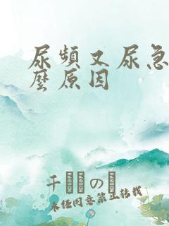 尿频又尿急是什么原因