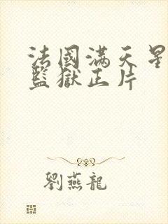 法国满天星高压监狱正片