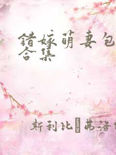 错嫁萌妻包甜的合集