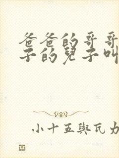 爸爸的哥哥的儿子的儿子叫什么