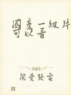 国产一级片哪里可以看