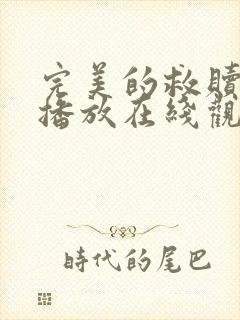 完美的救赎免费播放在线观看第5集