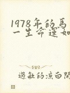 1978年的马一生命运如何