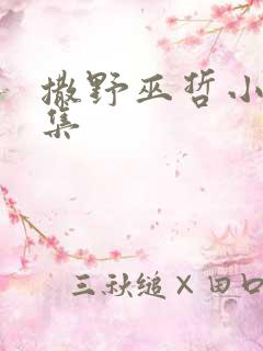 撒野巫哲小说全集