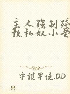 主人强制残忍调教私奴小受文