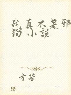 我真不是邪神走狗 小说