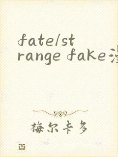 fate/strange fake漫画免费观看完整版