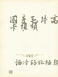 国产毛片高清不卡视频