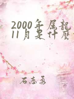 2000年属龙11月是什么命