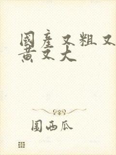 国产又粗又爽又黄又大