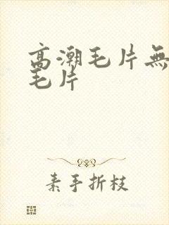 高潮毛片无遮挡毛片