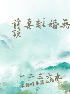 前妻离婚无效小说