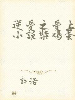 逆爱之爱上情敌小说柴鸡蛋