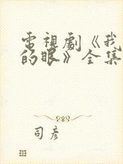 电视剧《我是你的眼》全集播放免费