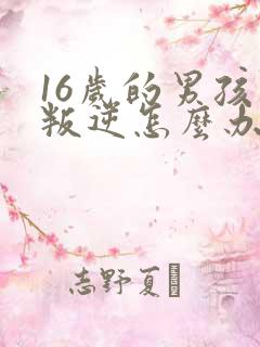 16岁的男孩子叛逆怎么办