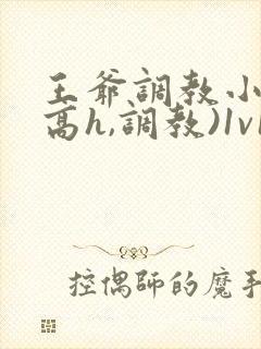 王爷调教小说(高h,调教)1v1