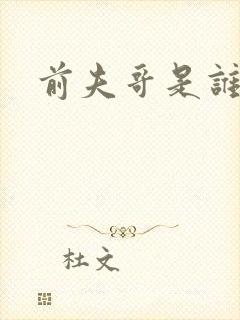 前夫哥是谁