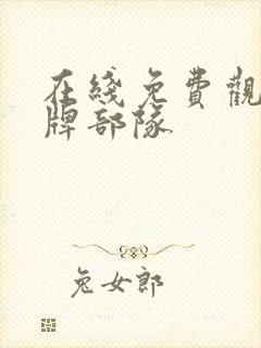 在线免费观看王牌部队