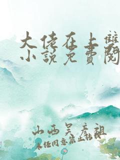 大佬在上双男主小说免费阅读