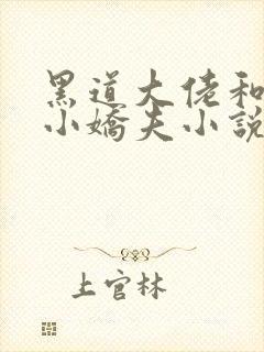 黑道大佬和他的小娇夫小说夕归免费阅读