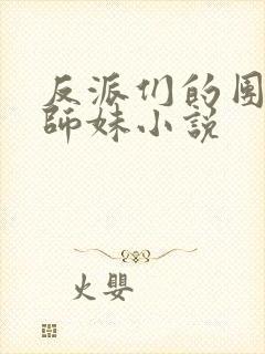 反派们的团宠小师妹小说