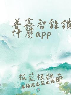 普鑫智能锁下载什么app