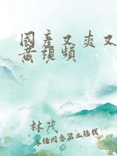 国产又爽又猛又黄视频