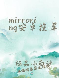 mirroring安卓投屏软件