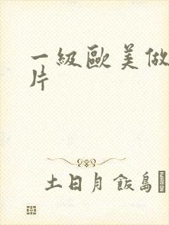 一级欧美做a爰片