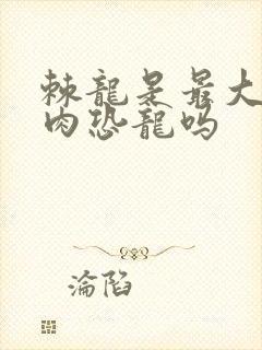 棘龙是最大的食肉恐龙吗