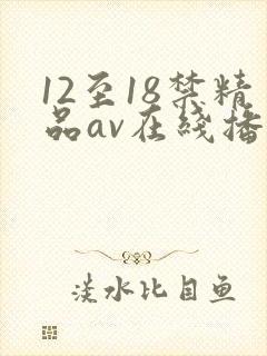 12至18禁精品av在线播放