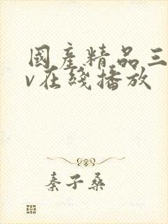 国产精品三级av在线播放