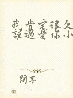 我肯定很久之前说过爱你小说免费阅读