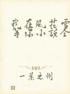 我在风花雪月里等你小说全文阅读