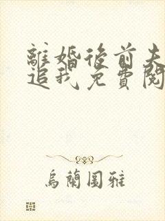 离婚后前夫总是追我免费阅读